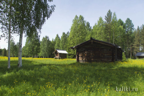 Хозяйственные постройки, XIX в.