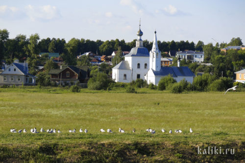 Богоявленская церковь и церковь Рождества Иоанна Предтечи (справа)