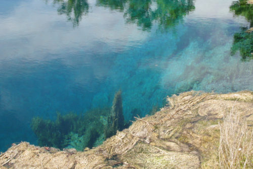 Харовые водоросли