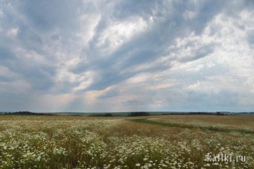 По просторам национального парка "Самарская Лука" 