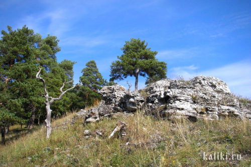 Каменистые отложения на южном склоне Монастырской горы