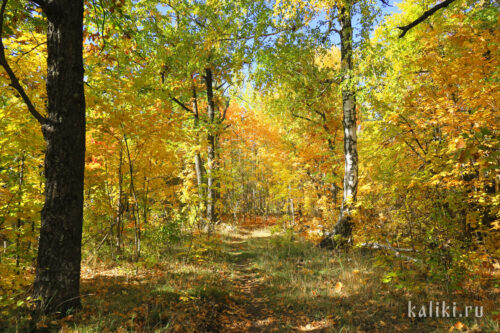Краски осени. Хвалынский национальный парк