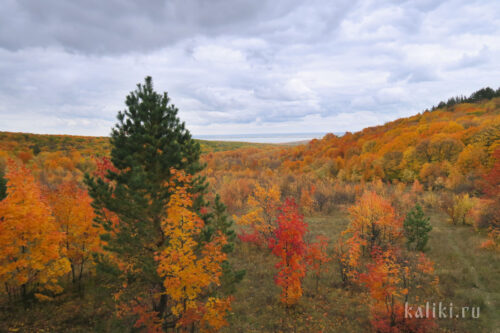 Краски осени. Хвалынский национальный парк